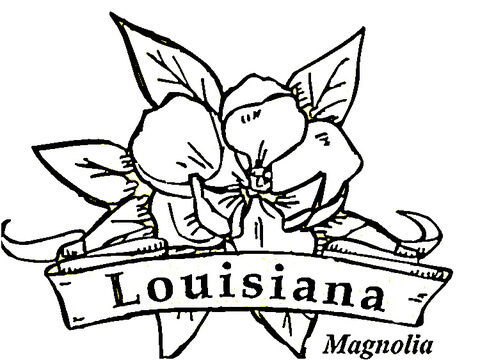 480x360 Louisiana Flowers Coloring Page Free Printable Coloring Pages
