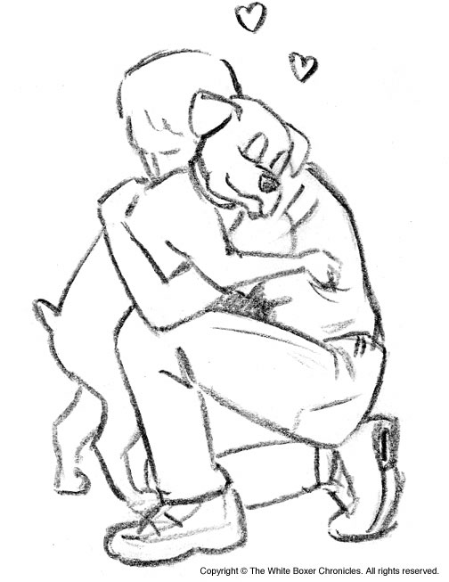 504x653 White Boxer Chronicles