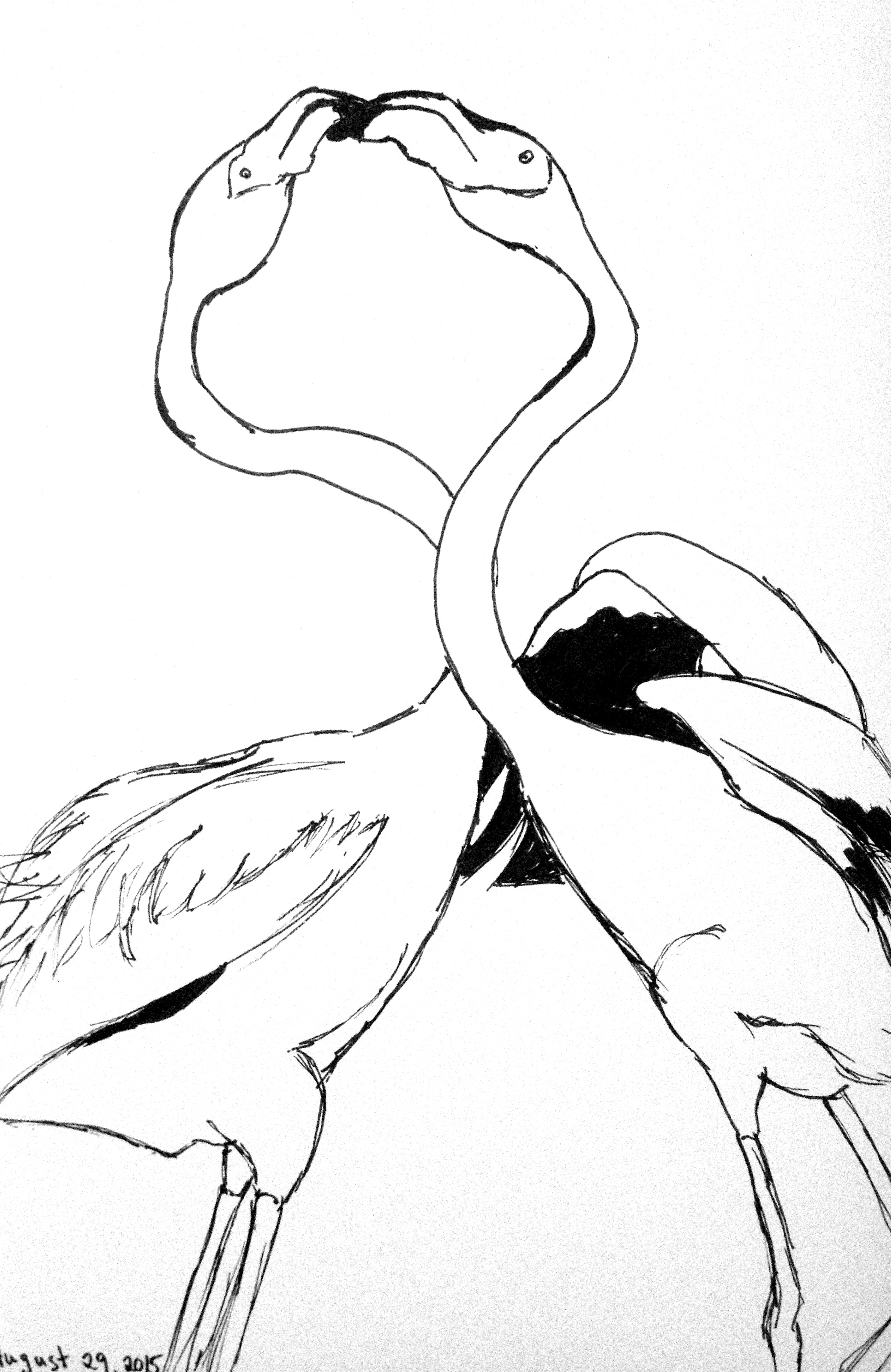 2080x3203 Day 241 Flamingo Love One Stumble