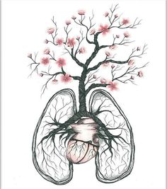 236x267 Floral Anatomy Heart Watercolor Painting Anatomical Human