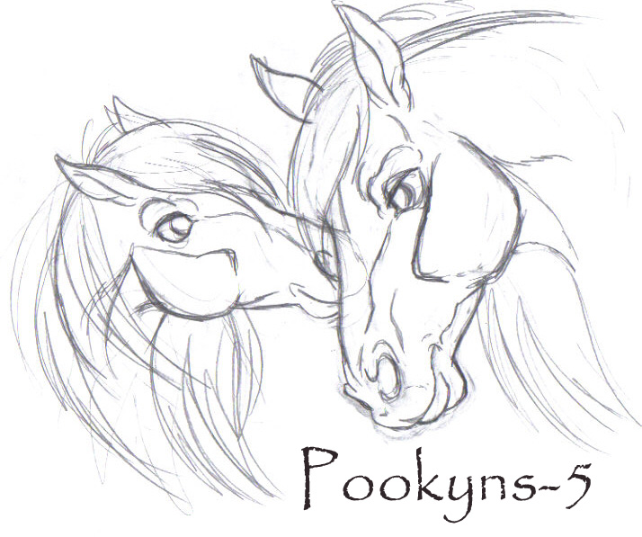 714x597 Two Lovebirds Original Sketch By Pookyhorse
