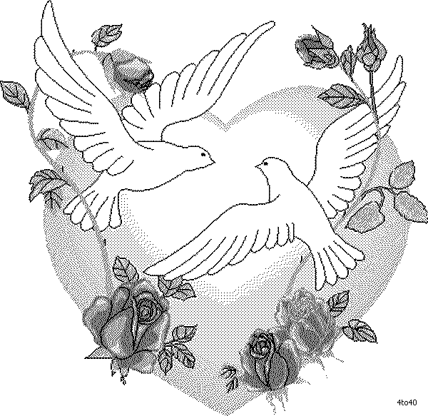 600x583 Love Bird Drawings Birds Drawing