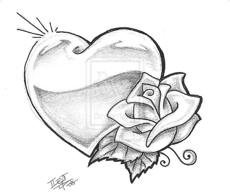 736x624 Pictures Drawings Of Roses And Hearts,