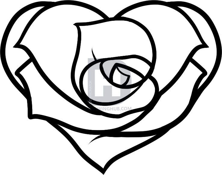 738x580 How Draw A Love Rose Step By How