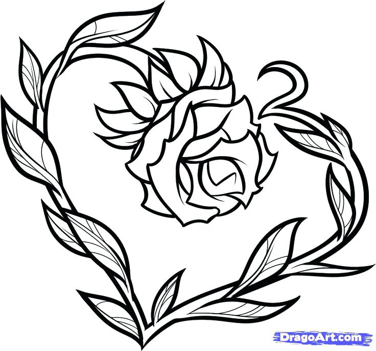 736x686 Coloring Pictures Of Hearts And Roses 1table.co