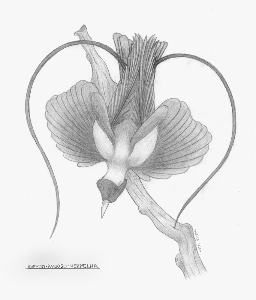 853x1000 Love Bird By Fox Hunter