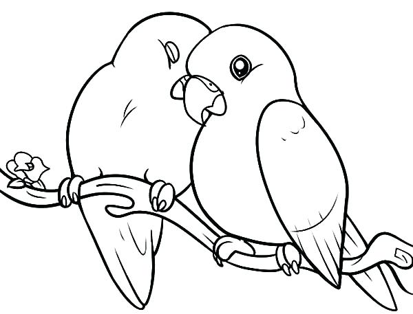 600x457 Coloring Pages Of Birds Love Bird Coloring Pages Love Birds