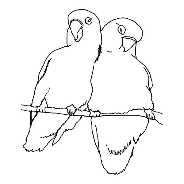 600x600 Birds Coloring Pages Brexitbook.club