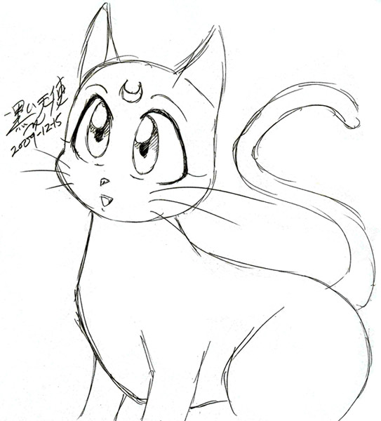 543x600 Luna Cat Sketch By Kuroitenshi13