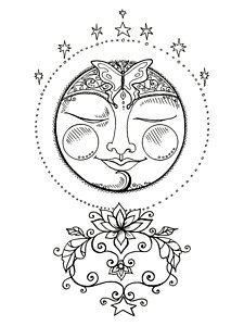 225x300 Luna Moth Drawings Fine Art America