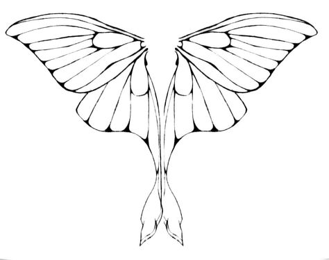 474x374 Luna Moth Wings By On @
