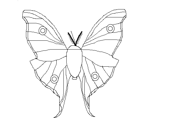 600x400 Lunamoth.gif