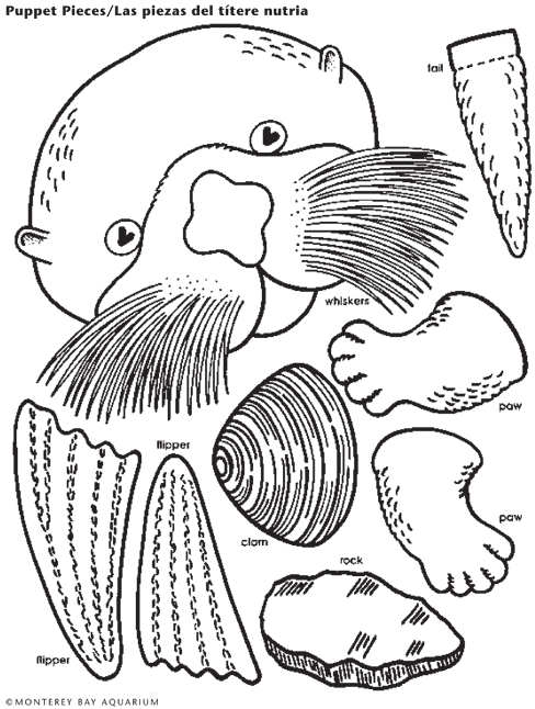 488x646 Sea Otter Lunch Bag Puppet