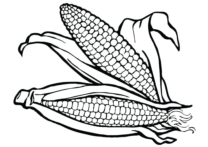 875x620 Pretty Corn Coloring Pages Fee Lunch Box Page 1 Sheet Colorin