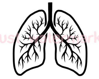 340x270 Lung Cancer Svg Etsy