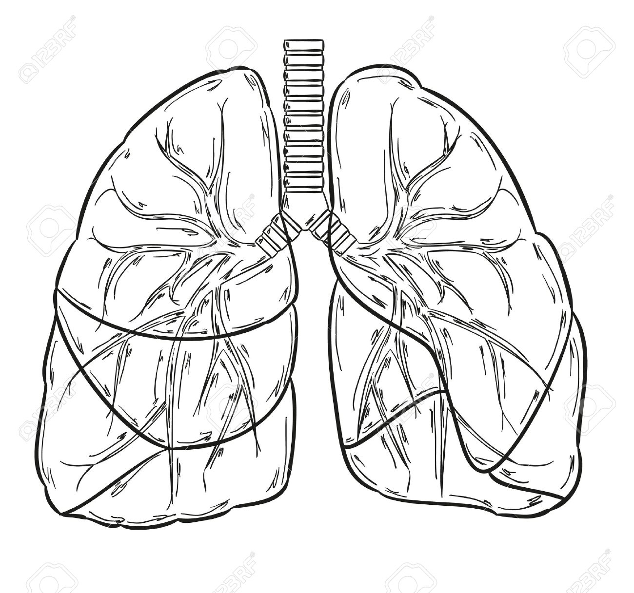 Lung Cancer Drawing at GetDrawings | Free download