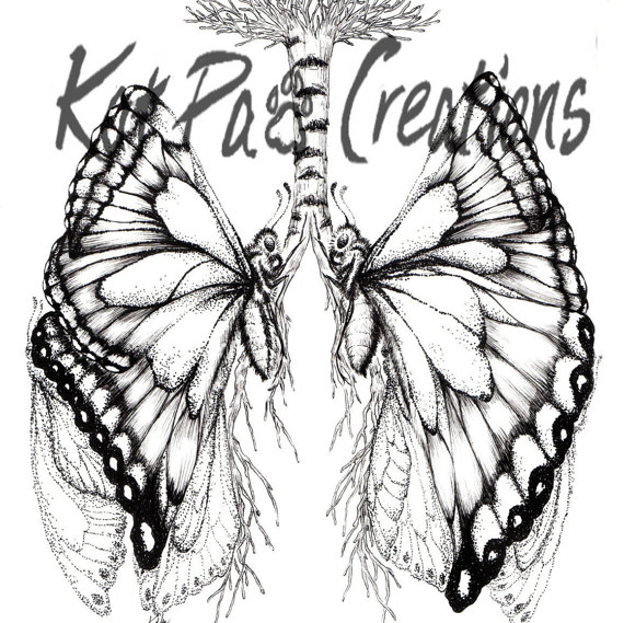 570x569 Butterfly Lungs Human Anatomy Ink Drawing By Katpawcreations