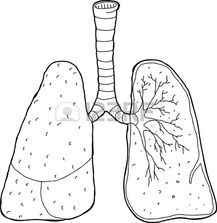 Lung Cancer Drawing at GetDrawings | Free download