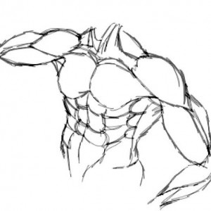 300x300 Human Anatomy Of Heart And Lungs Coloring Pages Bulk Color