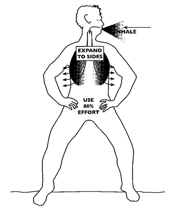 350x415 Latissimus Or Side Lung Breathing Or Wing Breath