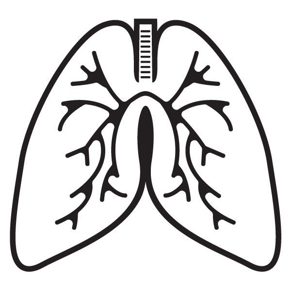 600x600 Lung Clipart Black And White Letters