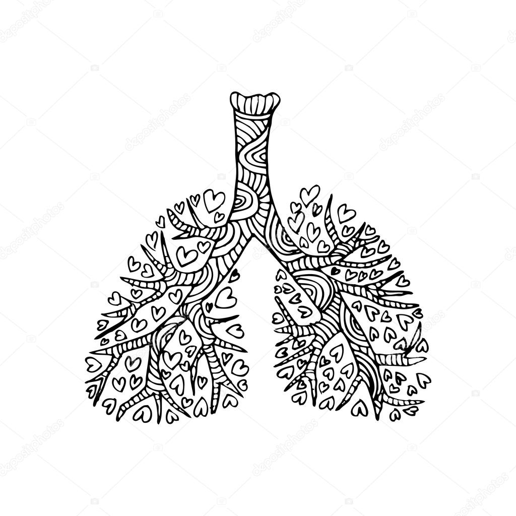 1024x1024 Illustration Of Lungs. Doodle Drawing Of Human Organ. Stock