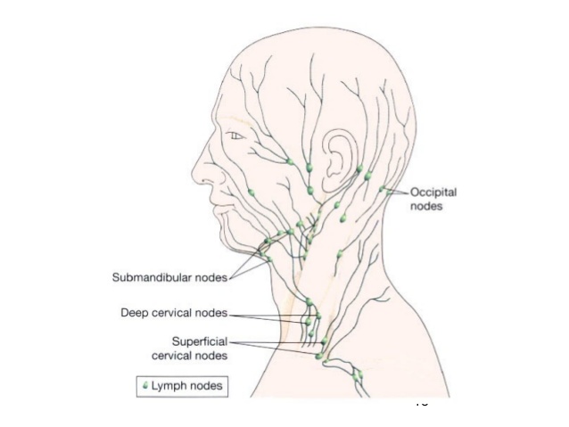 The best free Lymphatic drawing images. Download from 31 free drawings ...