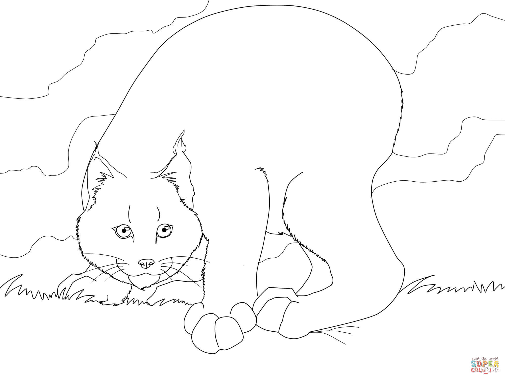 2048x1536 Lynx Coloring Pages Free Coloring Pages