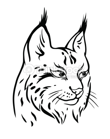 369x464 Cat Line Drawing Tattoo
