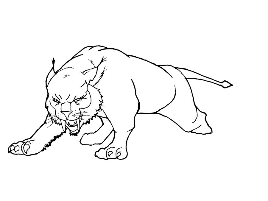 900x675 Lynx Sketch By Hugodvil