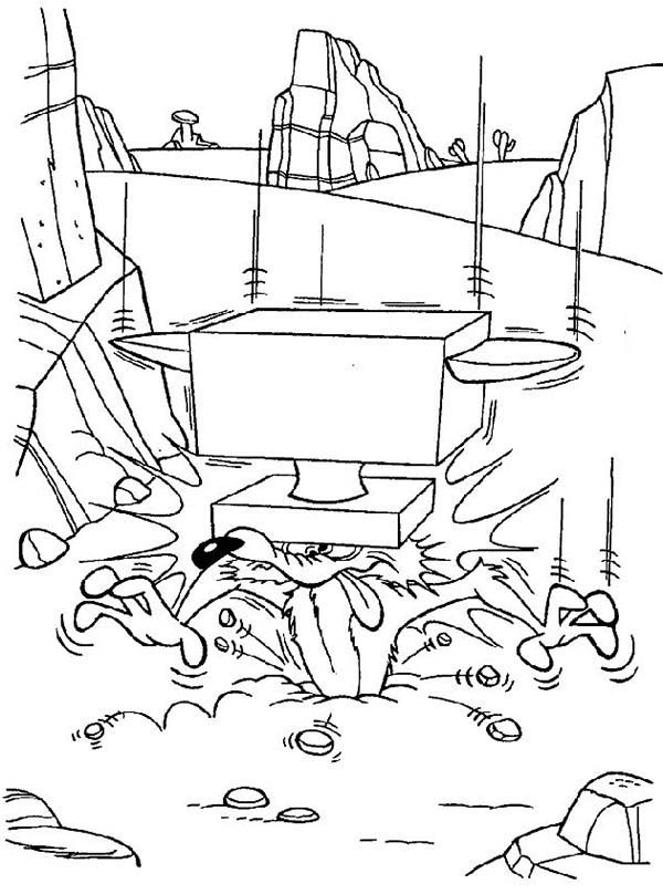 600x808 Mampm Varieties