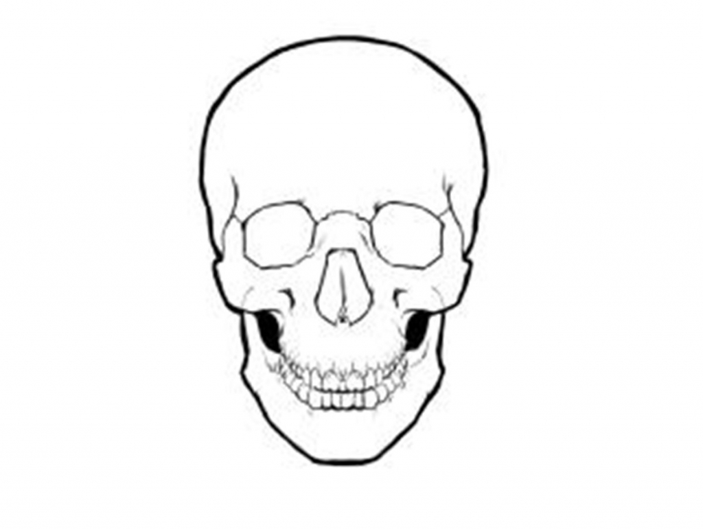 1024x771 Simple Skull Drawing Skull Drawing Best Images Collections Hd