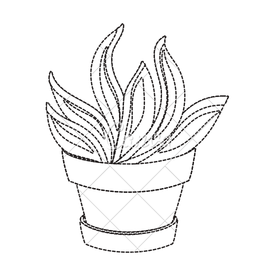 550x550 Desert Plant Draw Vector