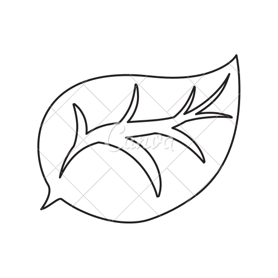 550x550 Leaf Drawing Vector