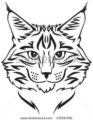 360x470 Cat Face Stock Photos, Images, Amp Pictures Shutterstock Ersatz