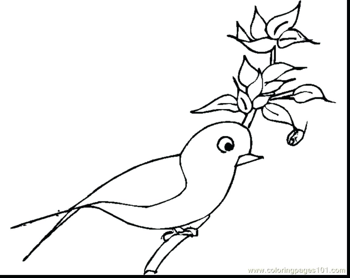 1152x915 Coloring Scarlet Macaw Coloring Page Drawing Throughout Sheet