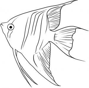 302x299 44 Best Drawing Fish Images On Pisces, Drawings