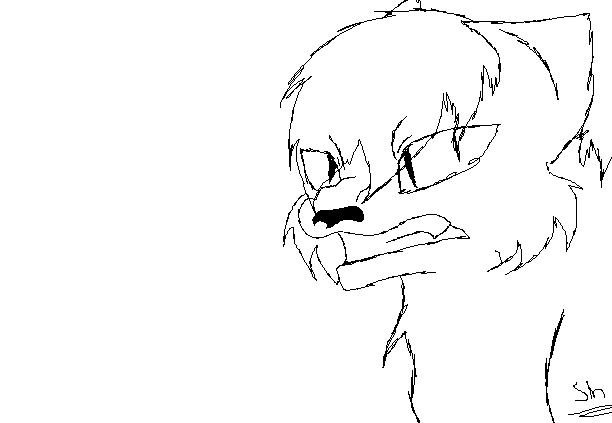 612x423 Mad Wolf Sketch By Snowandhawk123456789