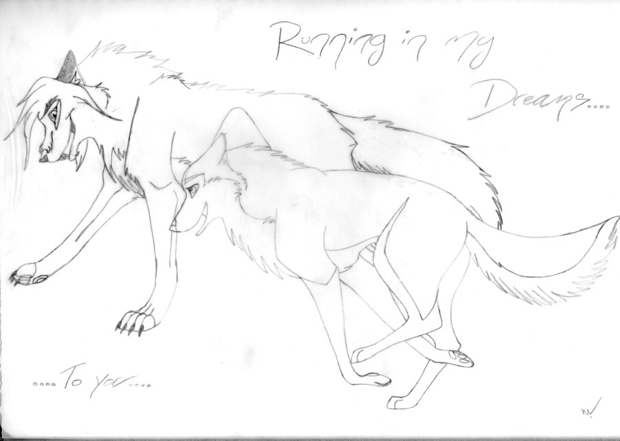 900x640 Running In My Dreams By Wolf Mad Artists