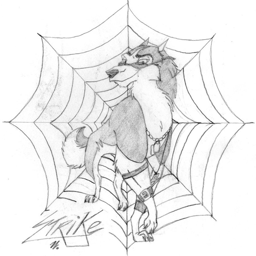 894x894 Strike The Spider Dog By Wolf Mad Artists