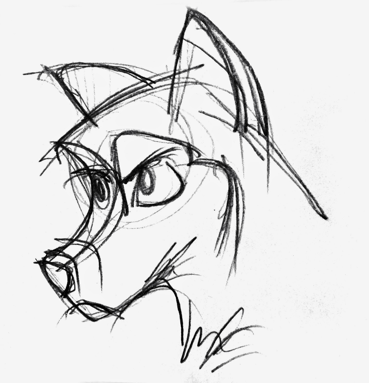 1518x1577 The Art Of Andy Fling Peter And The Wolf Story Synopsis And Mad