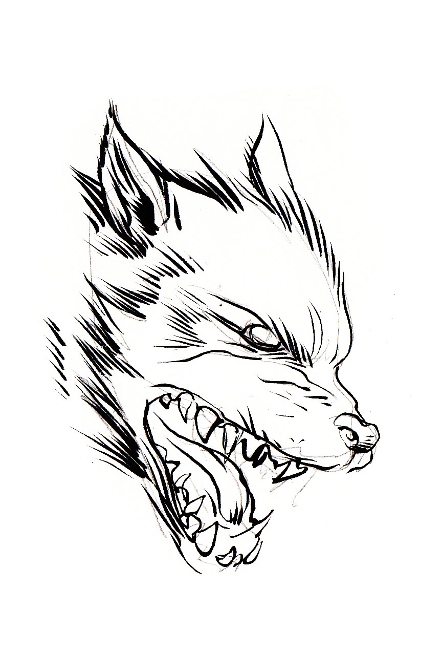 864x1273 Pretty Good Blog Warm Up Sketch Wolf