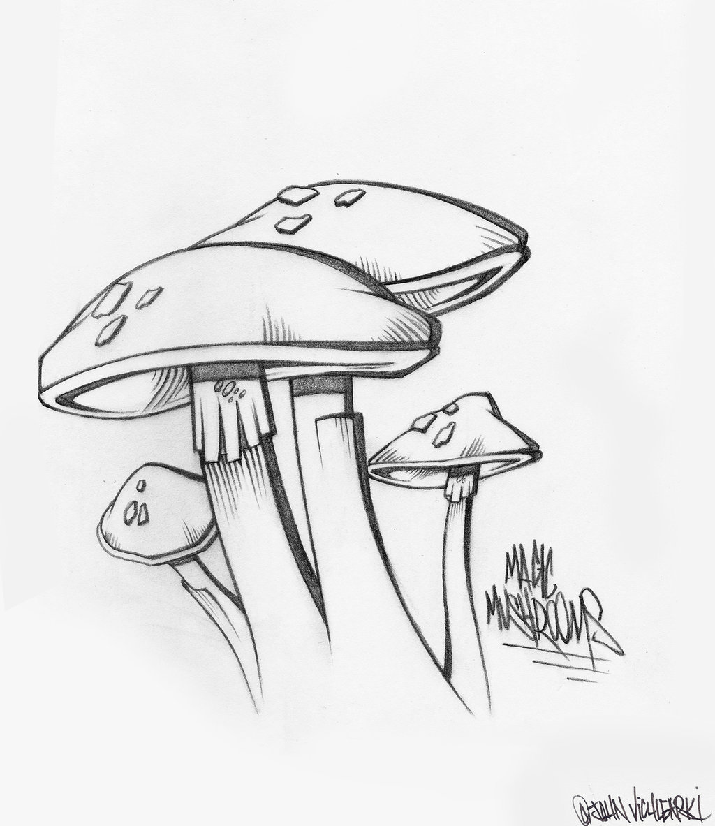 1024x1183 Magic Mushrooms By Johnvichlenski