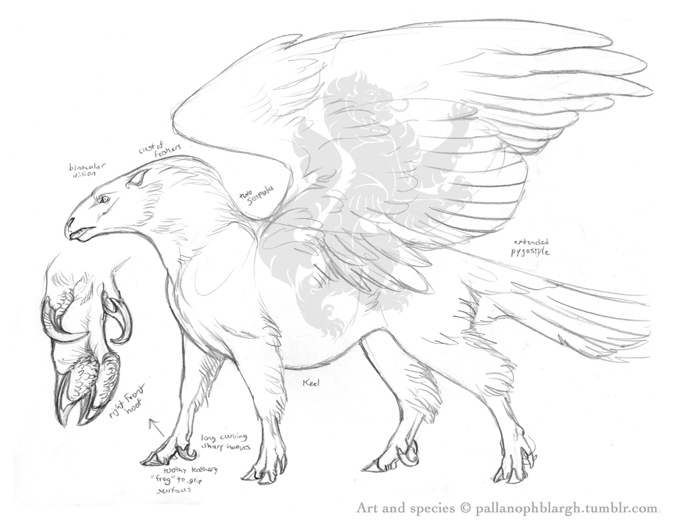 978x765 Winged Horse Reinvented By