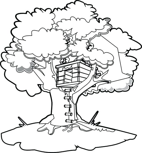 600x646 Treehouse Coloring Pages Magic Tree House Coloring Pages
