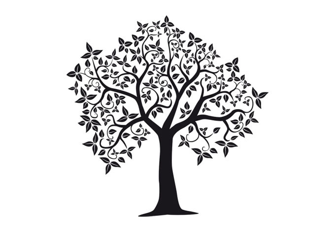 680x472 Crown Tree Wall Decal