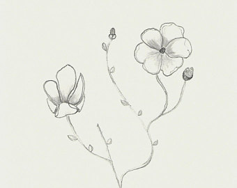 340x270 Magnolia Drawing Etsy