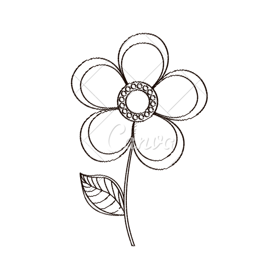 550x550 Magnolia Flower Decoration Sketch
