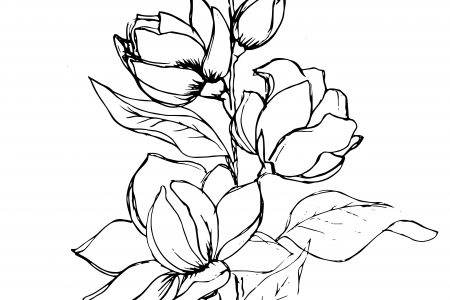 450x300 Cat Willett Page 2 Artist Designer Illustrator