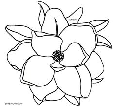 236x219 Magnolia Flower Clip Art Clipart
